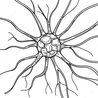 Colorful Brain Neurons Coloring Page 73225-57984