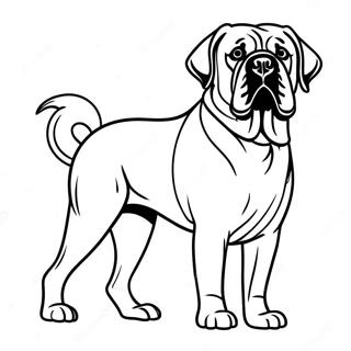 English Mastiff Coloring Pages