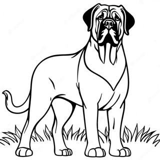 English Mastiff Standing Proud Coloring Page 74104-58684