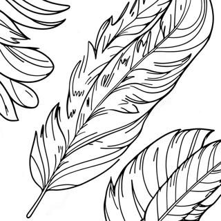 Feather Coloring Page 7810-6211