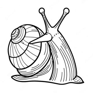 Snail Coloring Page 8510-6768