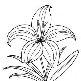 Lily Flower Coloring Pages