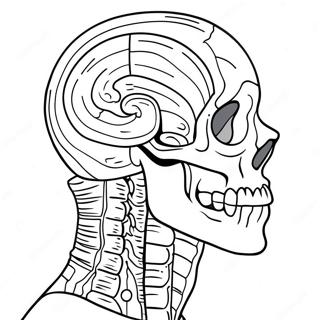 Anatomy Coloring Pages